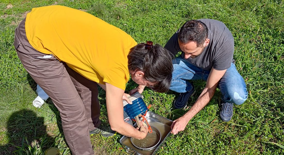 474367866_122218124576172790_6718586544860120654_n